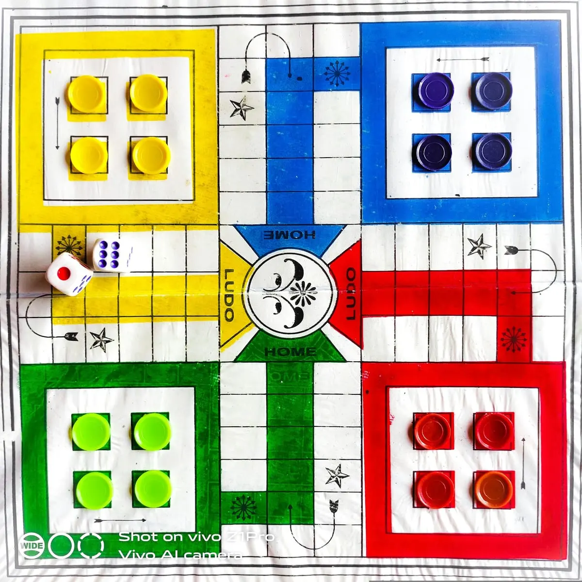 Ludo & Snakes and Ladders 2-in-1