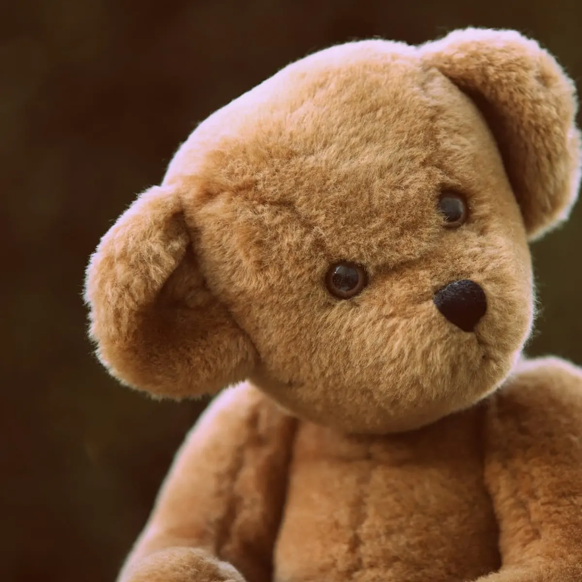 Cuddly Teddy Bear (60 cm)