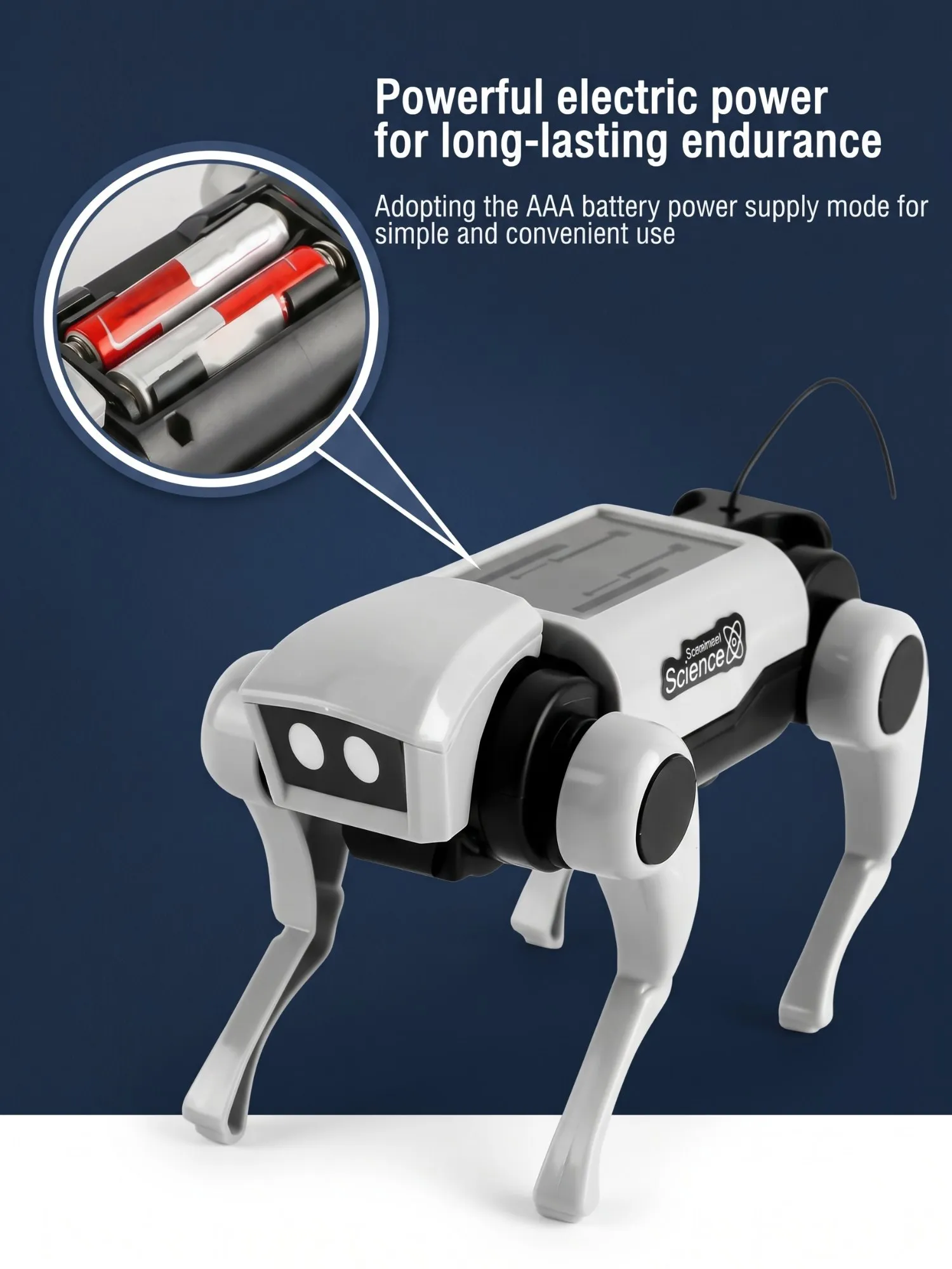 Remote Control Robot Dog & Cat — DIY Science Kit