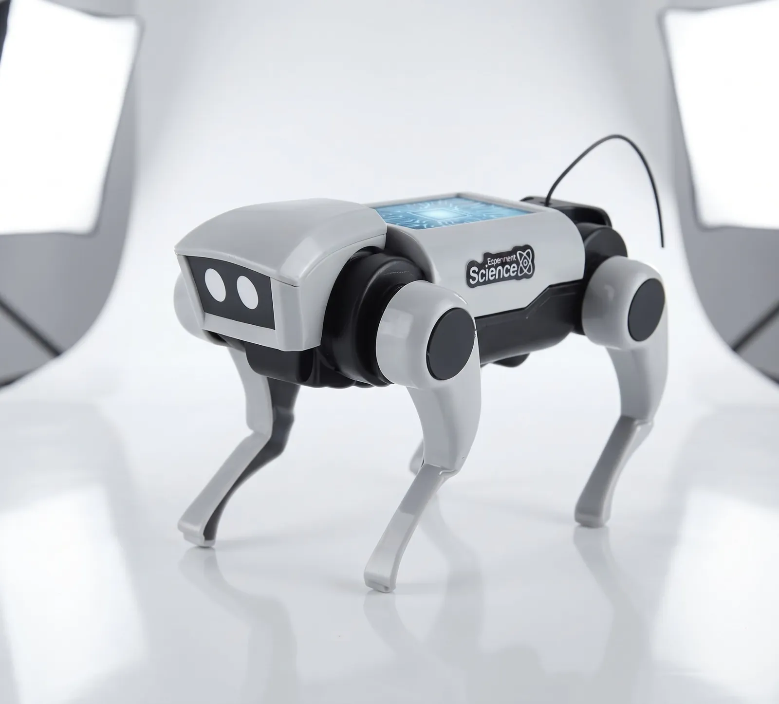 Remote Control Robot Dog & Cat β DIY Science Kit